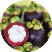 Compounds for Improved Immune Response Mangosteen
